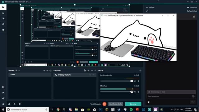How To Get And Set Up Bongo Cat Cam V2! (Streamlabs, OBS) смотреть онлайн