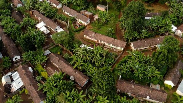 Why Do We Need Trees? | Eco Facts | One Tree Planted смотреть онлайн