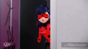 Леди баг и Супер кот ~|Приколы|