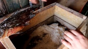 СУХОЙ ПОСОЛ ЛЕЩА В ЯЩИКЕ. Как ПОСОЛИТЬ КРУПНУЮ РЫБу.
