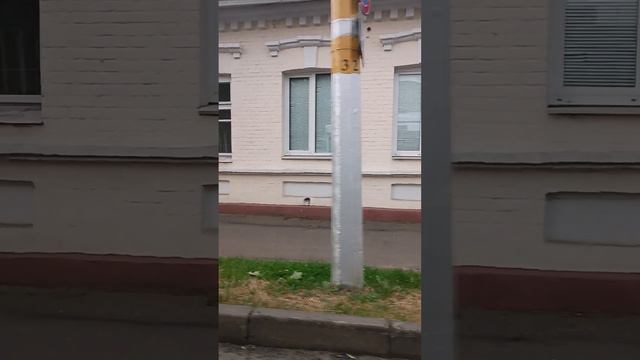 Поездка на троллейбусе МАЗ 203 Т 70 Бобруйск по 4 марш. смотреть онлайн