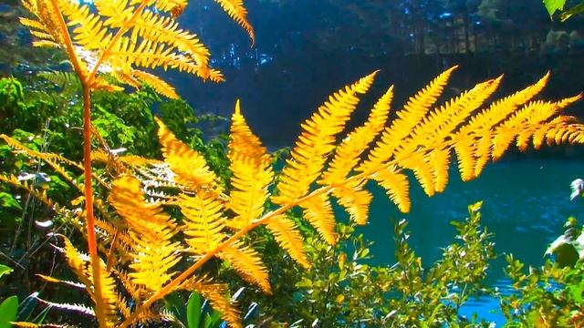 30 relaxing places to visit in England (UK) | road trip tips Dorset смотреть онлайн