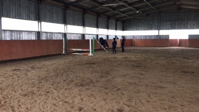 Напрыгивание лошади на свободе - прыжки без всадника. смотреть онлайн