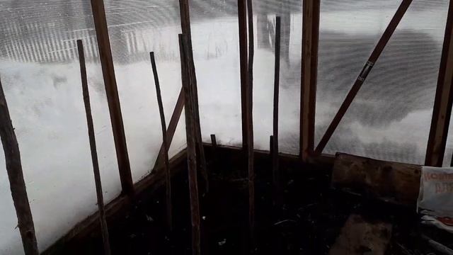 Схема посадки томатов и перца в теплице 3х6 смотреть онлайн