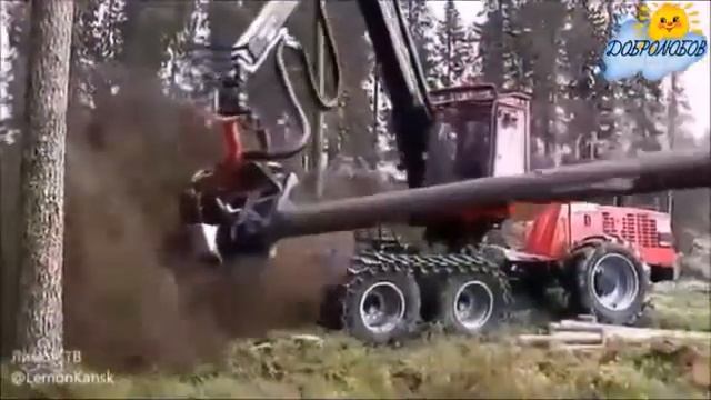 Представьте месяцев на двадцать свет вырубят...(Павел Добролюбов) смотреть онлайн