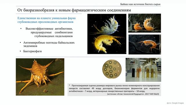 Часть II. "Байкал.Биотехнологии". Презентация "Концепция развития Байкальского региона". смотреть онлайн