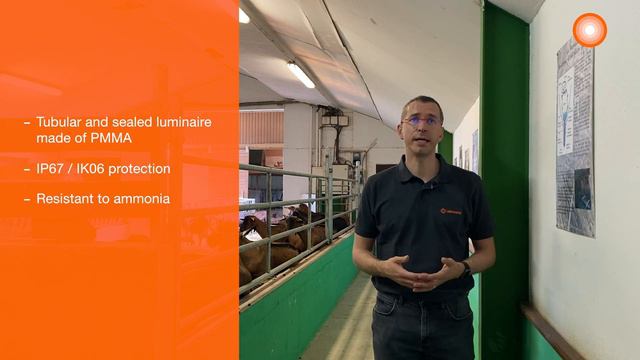 LEDVANCE DAMP PROOF SPECIAL - med norske undertekster смотреть онлайн