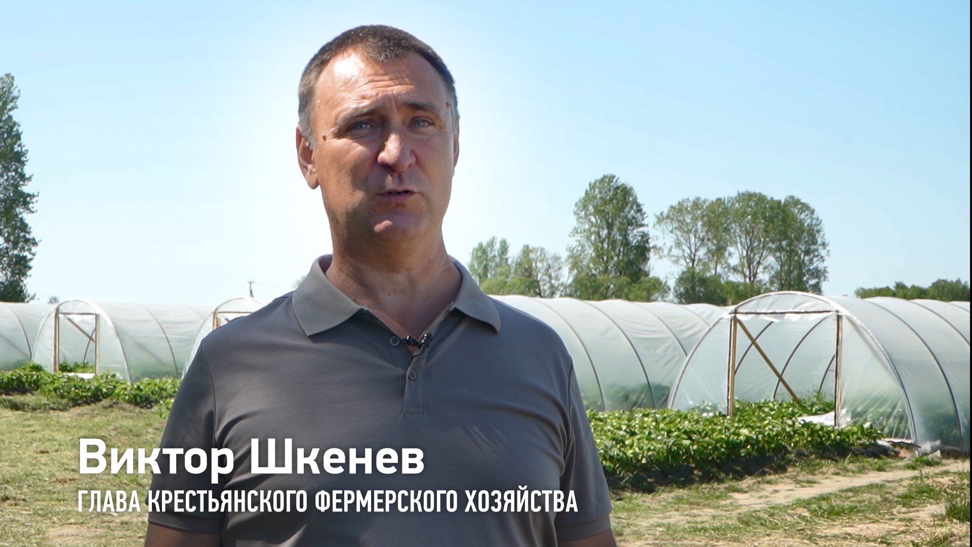 ИП Шкенев Виктор Николаевич смотреть онлайн