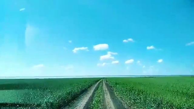 Гвоздевка. Дорога на Эбейты смотреть онлайн