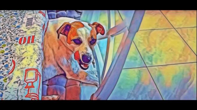 Самвел Адамян ЖАЛКО О.Л. / АНДРЕЙ ПОВЕРИЛ В СЕБЯ! ЕМУ БЫ КАПУСТУ В ОДНО МЕСТО смотреть онлайн