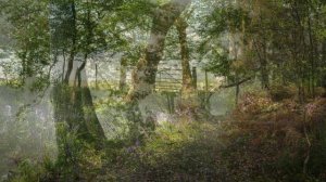 Bach J.S. Fuga in G minor BWV 578-VARIATION-REMIX.avi