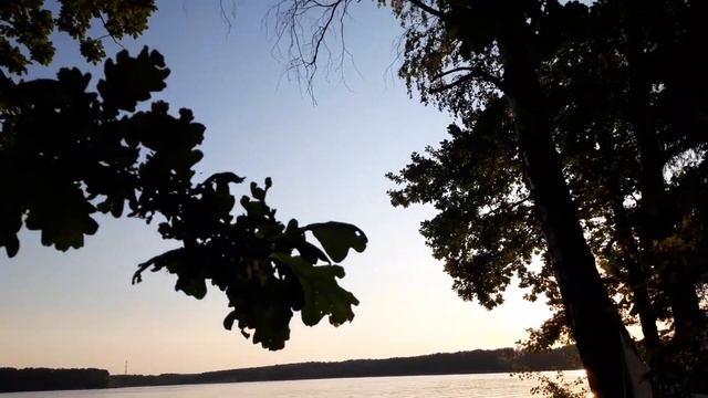 Жизнь с палатками на Истринском водохранилище смотреть онлайн