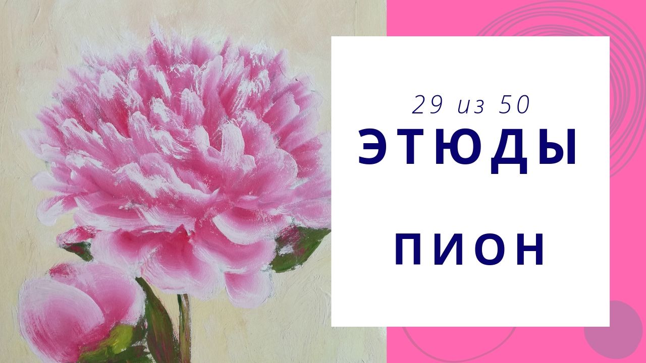 29. Как нарисовать пион гуашью. Серия видео «50 этюдов» смотреть онлайн