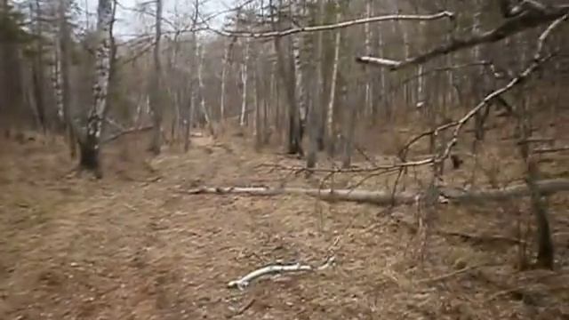 ирбис ттр250 и альфа 1 смотреть онлайн