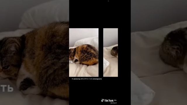 Как правильно обижаться смотреть онлайн