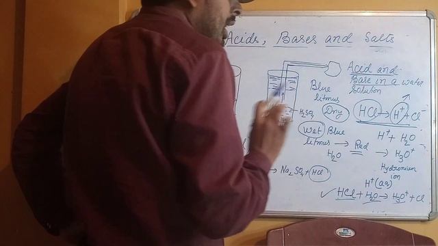 Acids, bases and salts | science | chapter - 2 |class 10 | NCERT | Part-3 смотреть онлайн