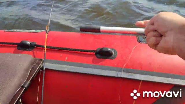 Ловля леща на кольцо в августе.