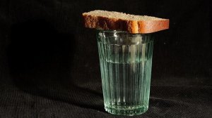 Галицийские поля... посвящена павшим российским солдатам в современной Украине