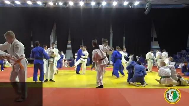 Первенство Тюменской области по дзюдо среди юношей и девушек до 18 лет. Татами №4 смотреть онлайн