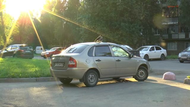 Вороне где-то бог послал кусок сосиски.. смотреть онлайн