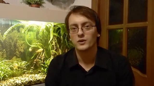 Уникальный курс "Оригами для детей". смотреть онлайн