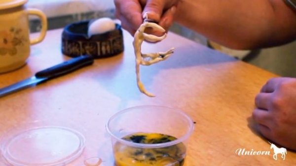 КАК СДЕЛАТЬ ГОМУНКУЛА | ГОМУНКУЛ: ПРАВДА ИЛИ ФЕЙК | ИНТЕРЕСНЫЕ ФАКТЫ О HOMUNCULUS