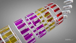 SOFTBODY SIMULATION | ANIMATION Playground V28 ❤️ C4D4U