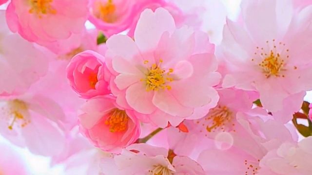 Нет некрасивых женщин || Книги, которые повлияли на мою жизнь смотреть онлайн