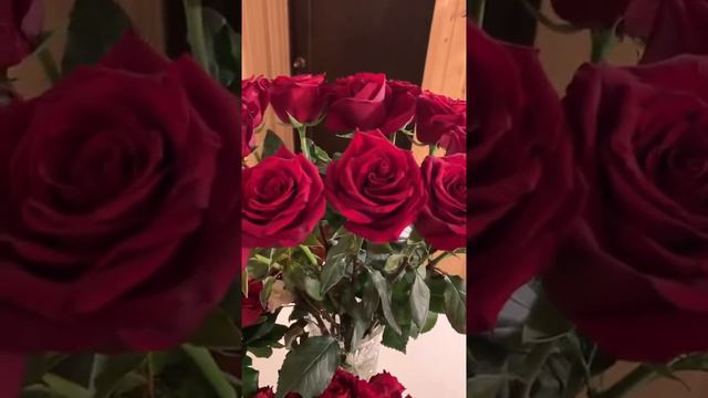 МОИ ЛЮБИМЫЕ РОЗЫ.ВЕДЬМИНА ИЗБА.ИНГА ХОСРОЕВА смотреть онлайн