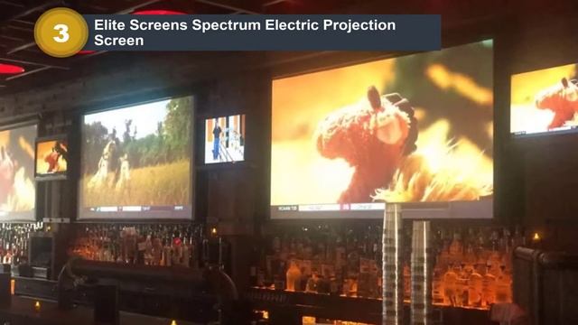 Top 5 Best Electric Motorized Drop Down Projector Screen In 2022 [Buying Guide]