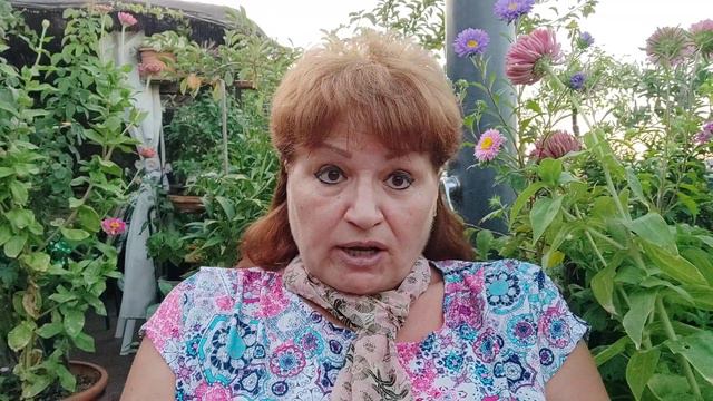 Попадаю к португальской мафии.часть 2.как я попала в Испанию. смотреть онлайн