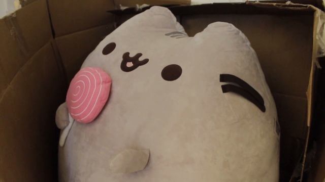 ? Unboxing The Jumbo Lollipop Pusheen!