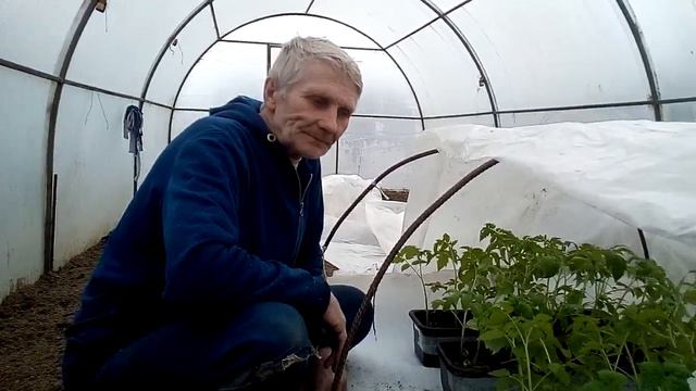 Карантин в деревне,работа кипит. смотреть онлайн