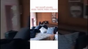 Чонгук уснул прямо в шкафу??