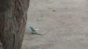 Экскурсия в Фанранг из Нячанга с турагентством "Саша тур"