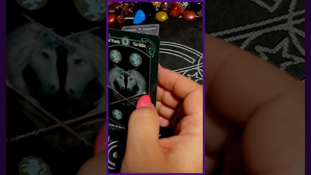 ЭТО 100% ПРОИЗОЙДЁТ ОЧЕНЬ СКОРО! #shorts таро сегодня/на любовь/на будущее смотреть онлайн