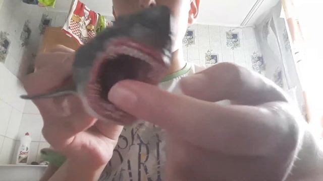 Делаю обзор на фигурку акула Мегалодон