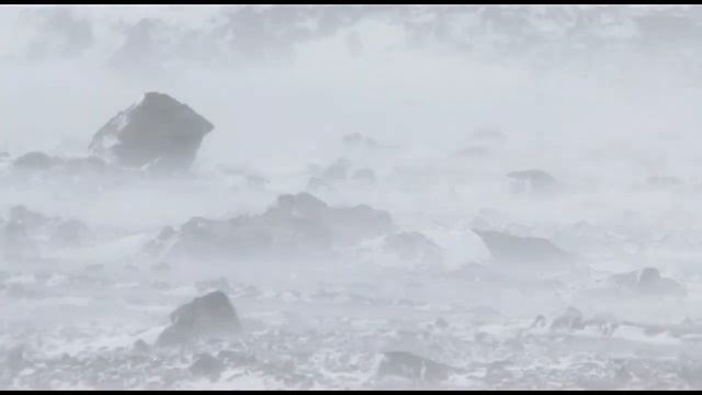 Расслабляющие звуки снежной пурги Шум ветра 3 часа для отдыха и сна смотреть онлайн