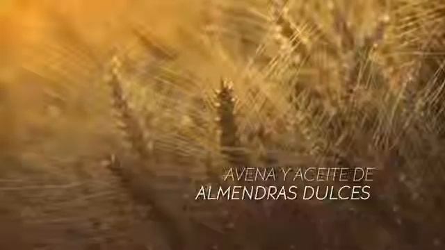 Video Kit de Cuidados Corporales e Higiene FINAL смотреть онлайн