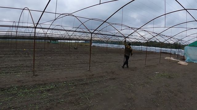 ЭТО НЕВЕРОЯТНО!!! Почему это не кто не показывал! Супер простой и надежный желоб для блочных теплиц смотреть онлайн