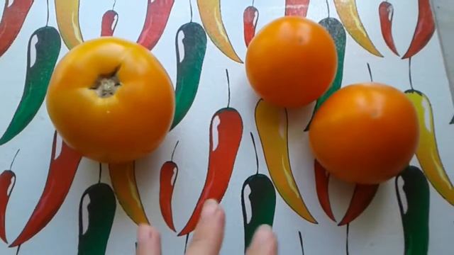 Томат Сияющий Шар и Хурма (Сравнение) смотреть онлайн