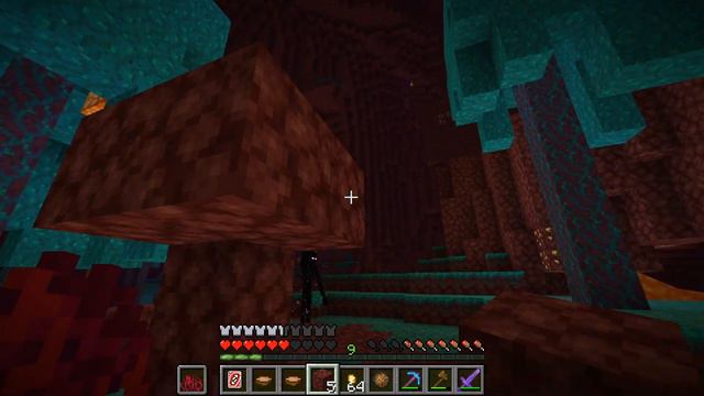 Minecraft, but I Spawn in the NETHER with a UNO Reverse Card! смотреть онлайн