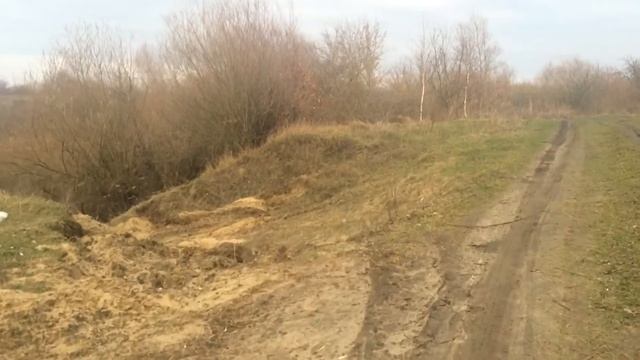 Где спрятать труп вашего "ДРУГА" смотреть онлайн