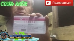 Тиамин козам