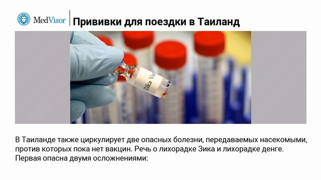 Прививки для поездки в Таиланд: что нужно ставить? смотреть онлайн