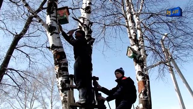 Новое жилье для птиц своими руками смотреть онлайн