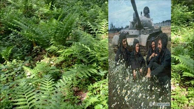 "На поле танки грохотали" смотреть онлайн