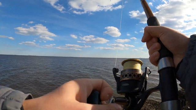 striped bass on the MOVE!!! soaking bloodworms early spring NJ fishing 2024 смотреть онлайн
