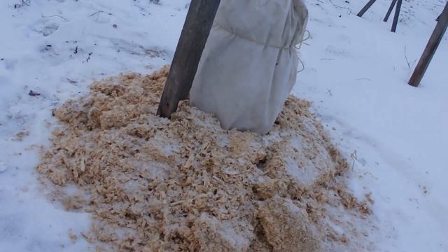 Зимнее укрытие голубики смотреть онлайн