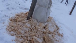 Зимнее укрытие голубики